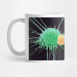 T lymphocyte and cancer cell, SEM (C022/6435) Mug